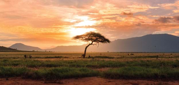 Sunset on a Kenya Safari, Africa