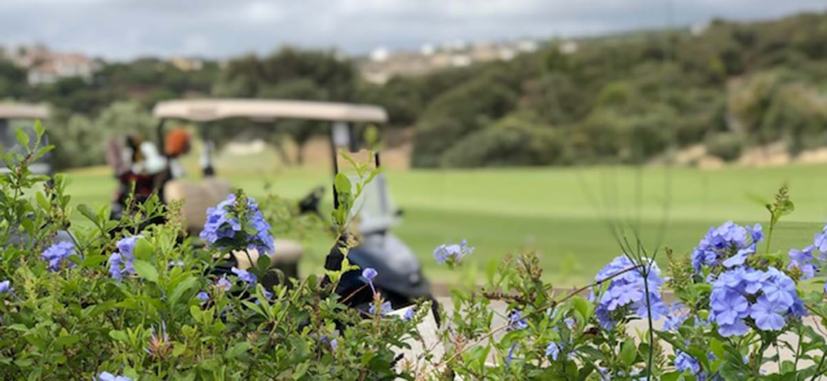 View of purple flowers with golf cart in the background