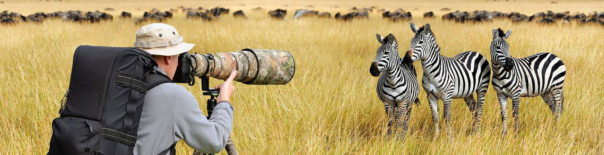 Man taking photograph of zebras on luxury ProAfrica African safari