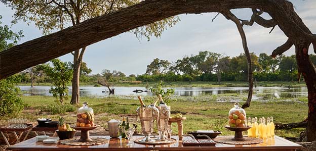 Luxury Africa Bush Picnic, Culinary Travel