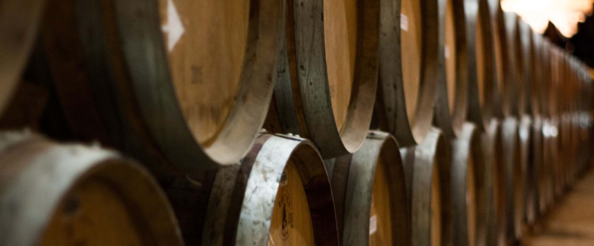 Wine barrels at Undurraga Winery in Maipo Valley, Chile