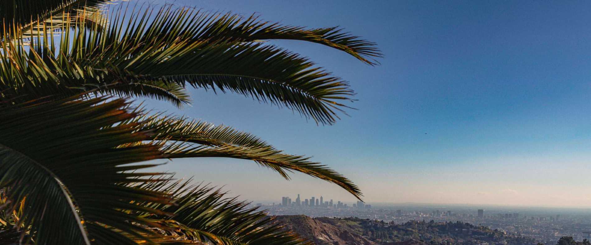 View of Los Angeles skyline